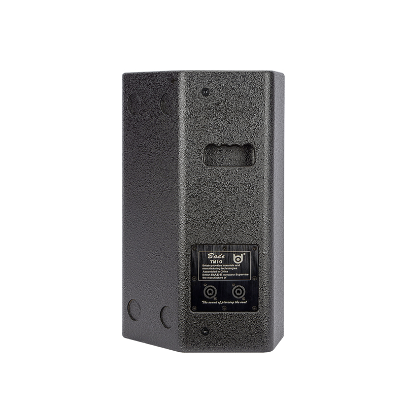 BDSOUND TM-10 Multifunctional Speaker