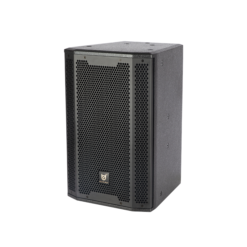 BDSOUND TK-10 Active Speaker
