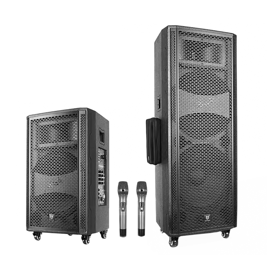 BD SOUND BD-H1532S Supports U-band Wireless Microphones and Dual Hand Microphones
